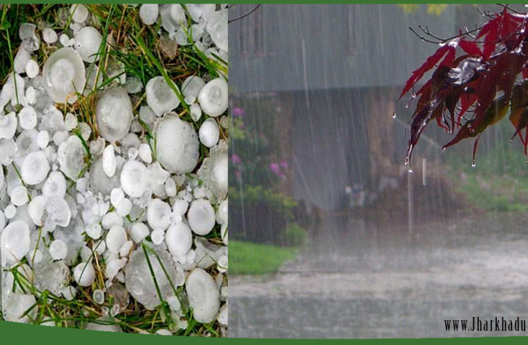 झमाझम बारिश के साथ चली तेज़ हवा, कई इलाकों में ओलावृष्टि से फसलों को नुकसान..