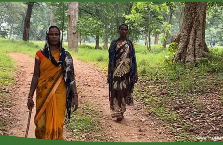 पलामू टाइगर रिजर्व की सुरक्षा इन दो धाकड़ बहनों के ऊपर, टांगी और कुल्हाड़ी लेकर करती है जंगल की सुरक्षा..