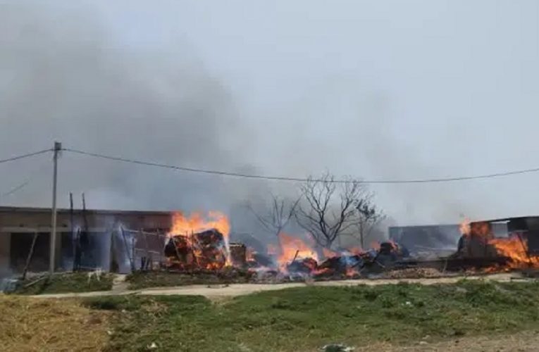 साहिबगंज: नकीरटोला गांव में 12 घर जले, कई मवेशियों की मौत..